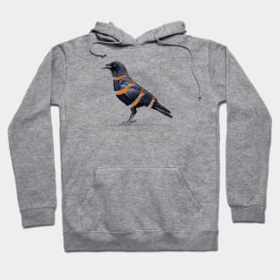 Raven Ribbon Hoodie